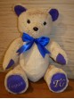 Logan | Custom Teddy Bear designed to represent awareness colors for conditions