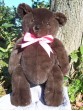 Penelope | Handmade teddy bear with feminine ribbon and chocolate colored fur. Custom text on foot